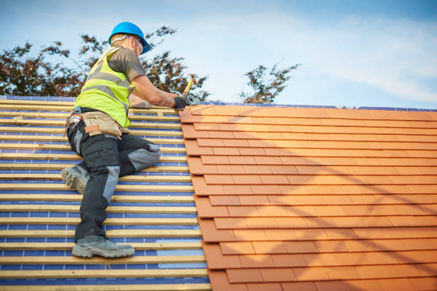 Best Metal Roofing Installation  in Holts Summit, MO